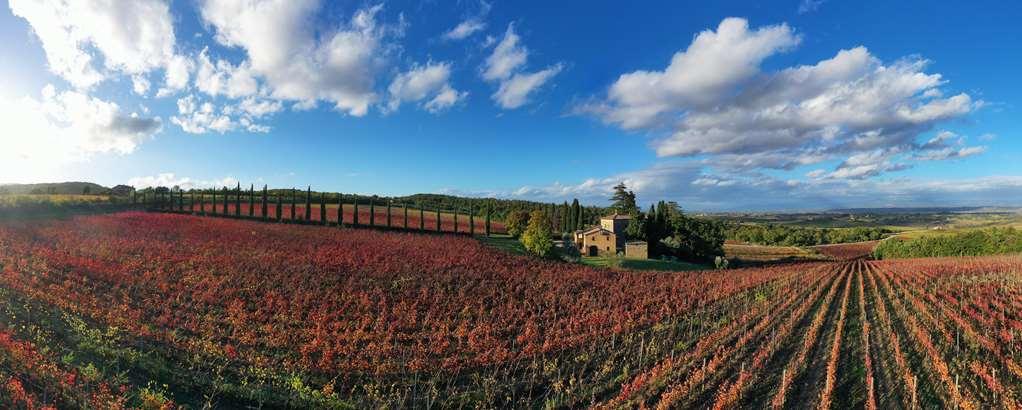 Relais Villa Grazianella | Una Esperienze Acquaviva  Cameră foto