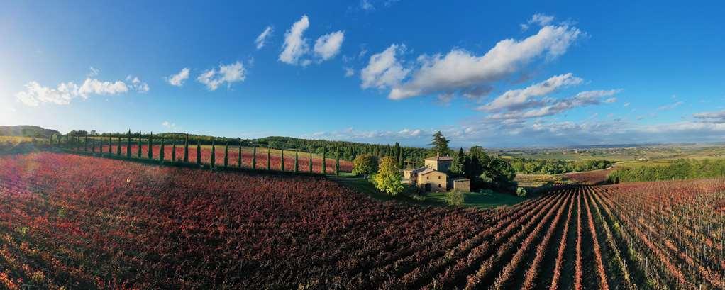 Relais Villa Grazianella | Una Esperienze Acquaviva  Cameră foto